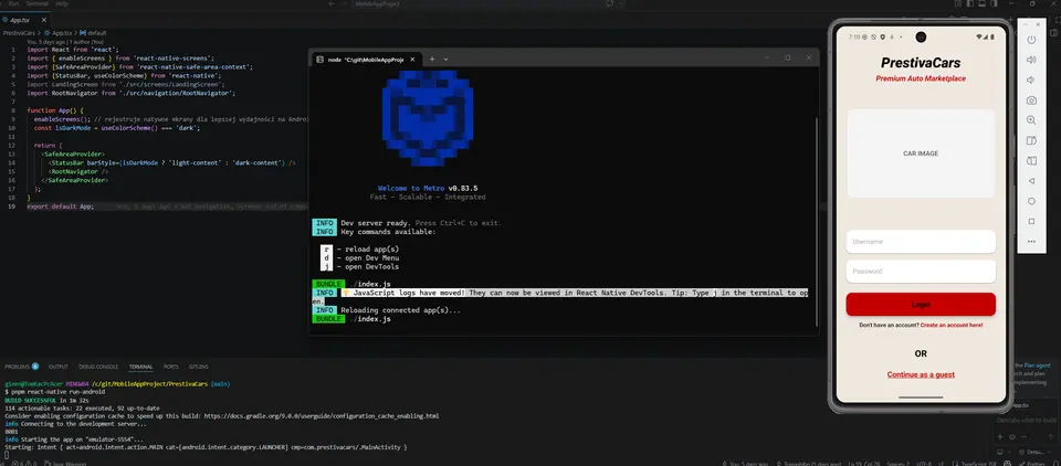 Project screenshot 1